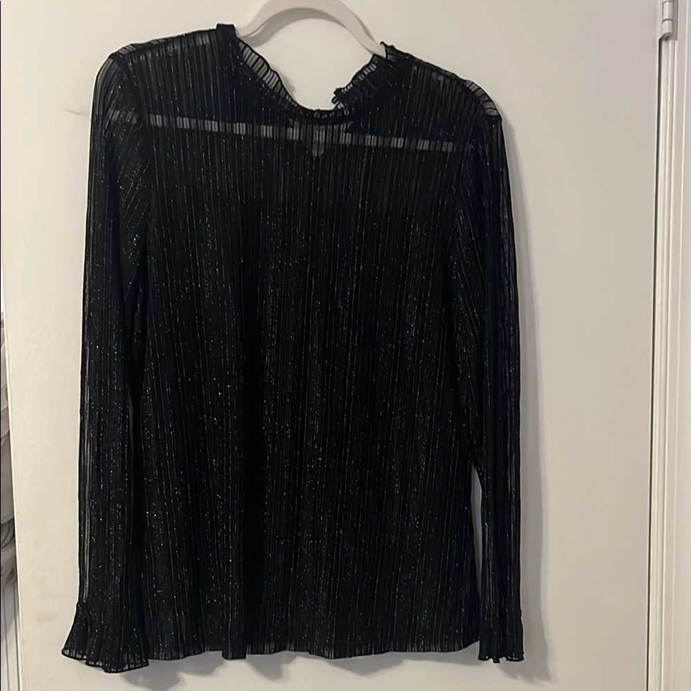 Elegant Black Sheer Women's Top